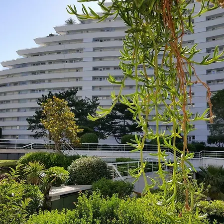 Apartment Des Anges